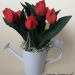 kwiaty foamiran tulipan